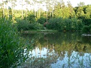 Foto rybník.